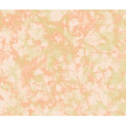 Ice-cream - Melon -...