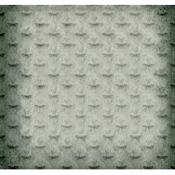 Stichyria of Shadowfly Hall...