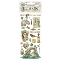 Herbarium Silvae - Transfer...