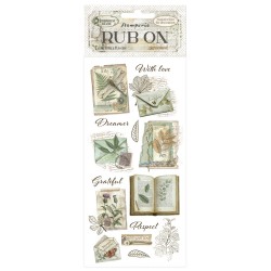 Herbarium Silvae - Transfer...