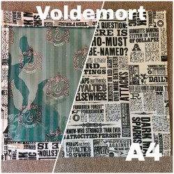 Voldemort - Les Projettes...