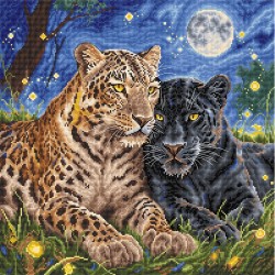 The Night of the Felines -...