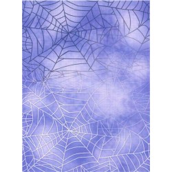 Spiderweb - needlework fabric