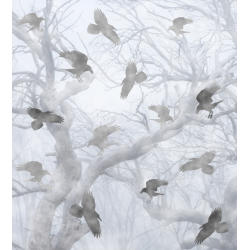 Foggy Crows - Needlework...